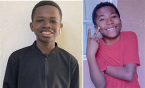 Missing brothers, 8 and 11, reported high-risk: CPD